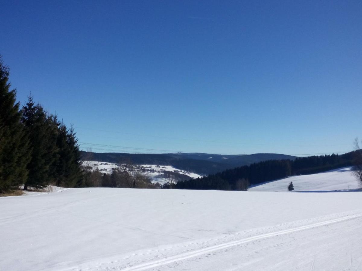 Cozy Apartment In Ore Mountains With Balcony Breitenbrunn  Cameră foto